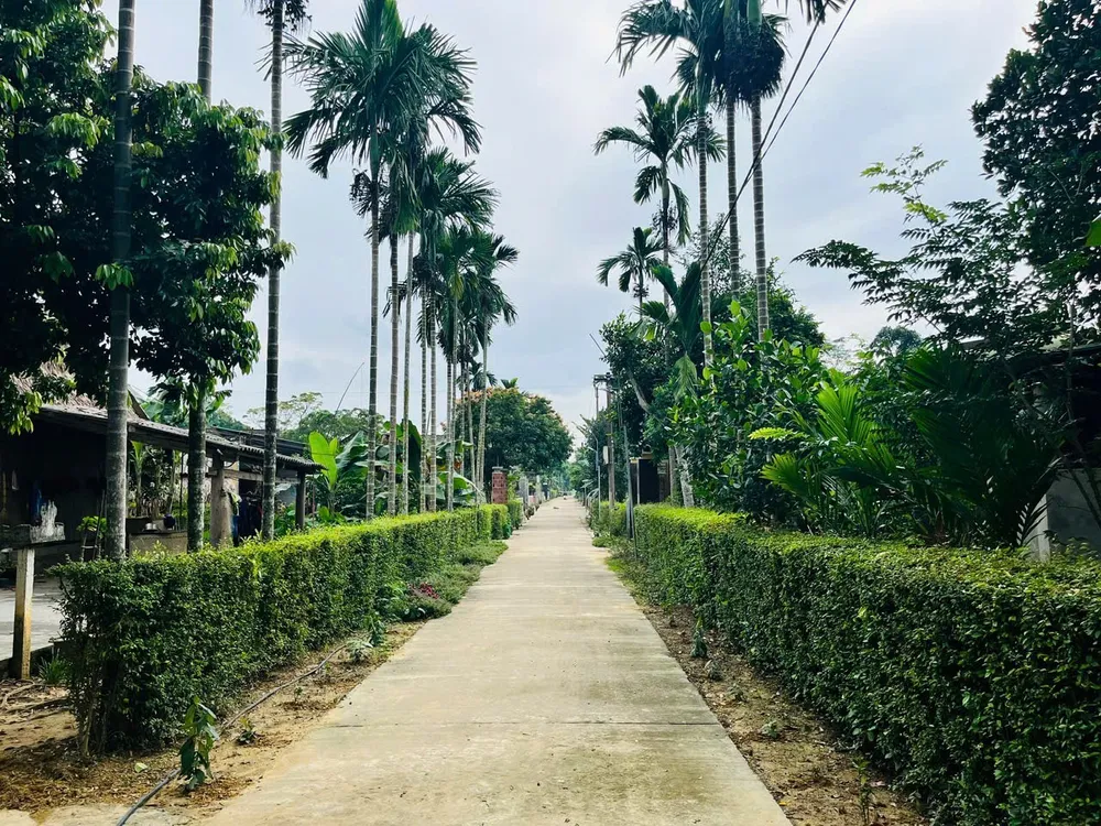 Nông thôn mới tạo bộ mặt khang trang ở miền núi Tuyên Hóa 1000059239.jpg