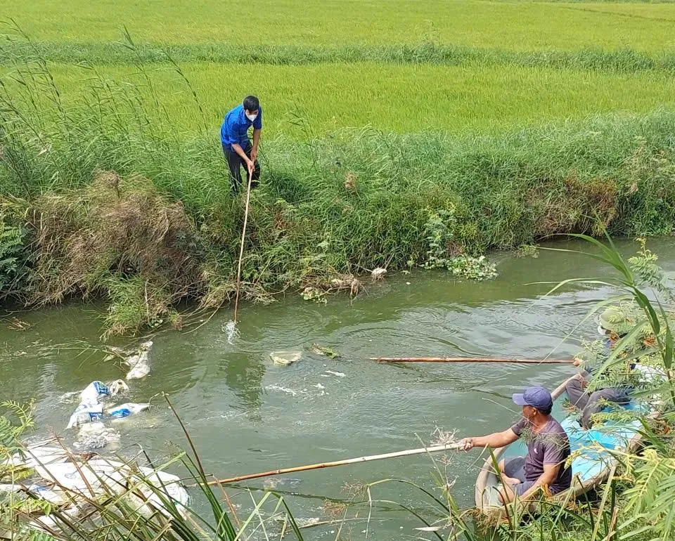 Vớt xác heo hết chôn lấp ở xã Đông Trạch