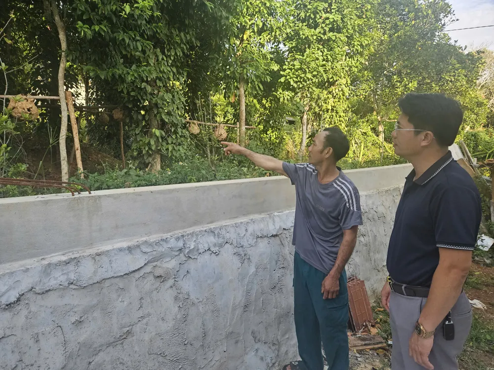 Nuôi bên tường rào 1000026563.jpg