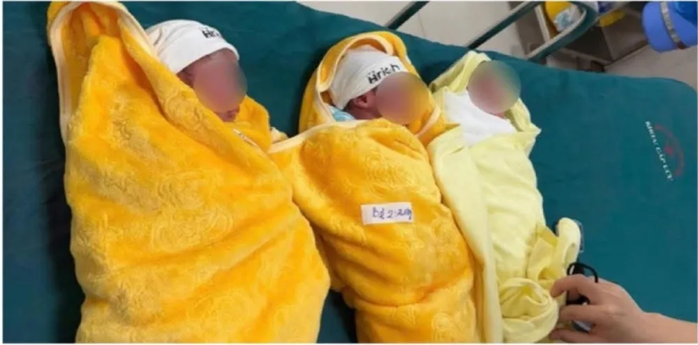 Erfolgreiche Geburt von 3 kleinen Jungen 1000060449.jpg