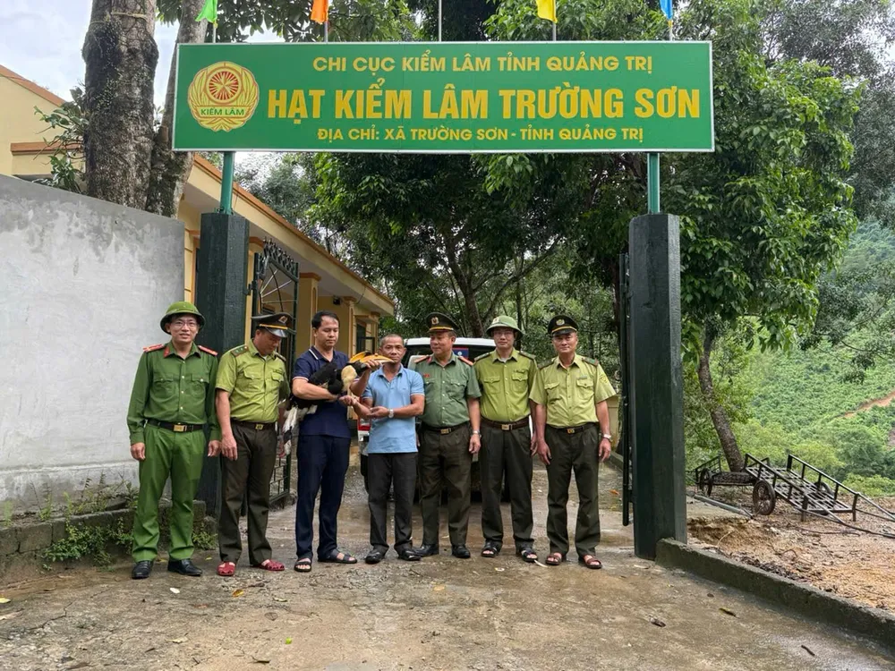 Lực lượng công an và kiểm lâm bàn giao chim Hồng hoàng quý hiếm cho cơ quan bảo tồn 1000027998.jpg