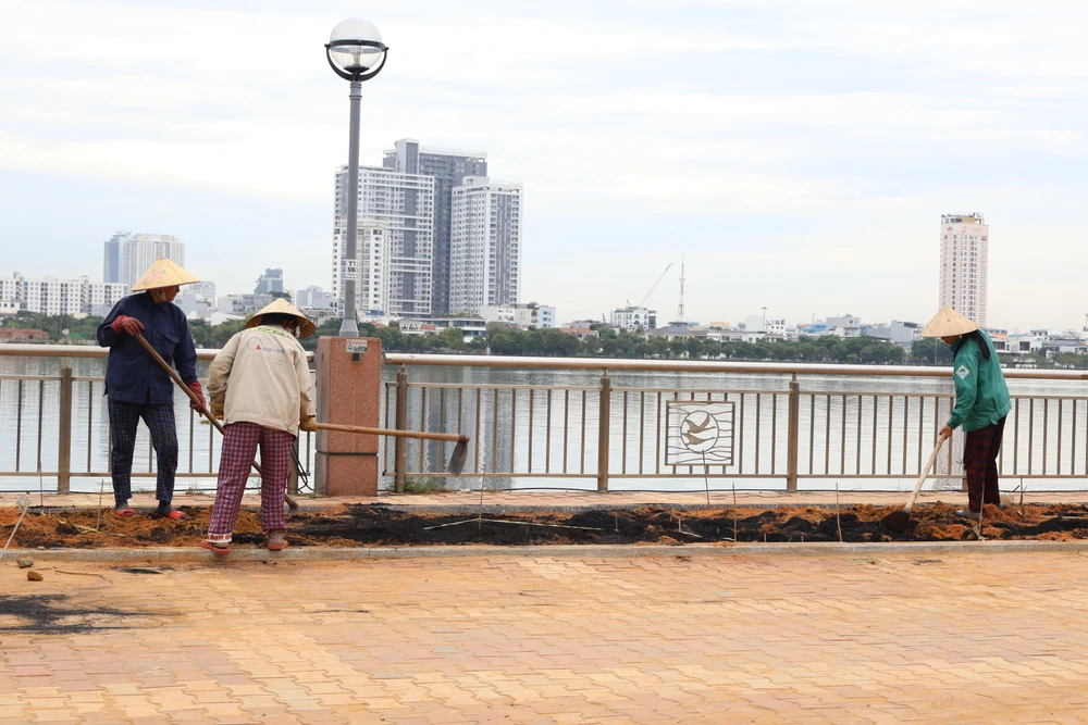 Các đơn vị đang khẩn trương thi công phố đi bộ Bạch Đằng IMG_3793.JPG