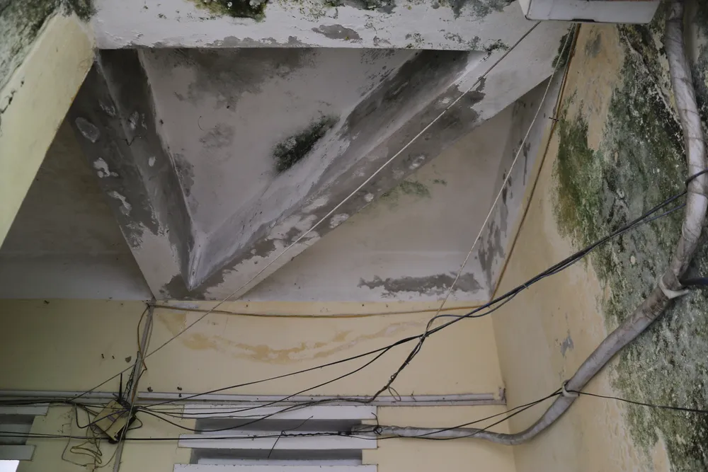 tp_truongxuongcapIMG_6484 2.JPG