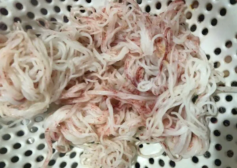 Số bún này được để trong rổ nhựa và đặt ở nơi khô thoáng z6783059685827_3ee566f1d666526952600dbe89d8306b.jpg