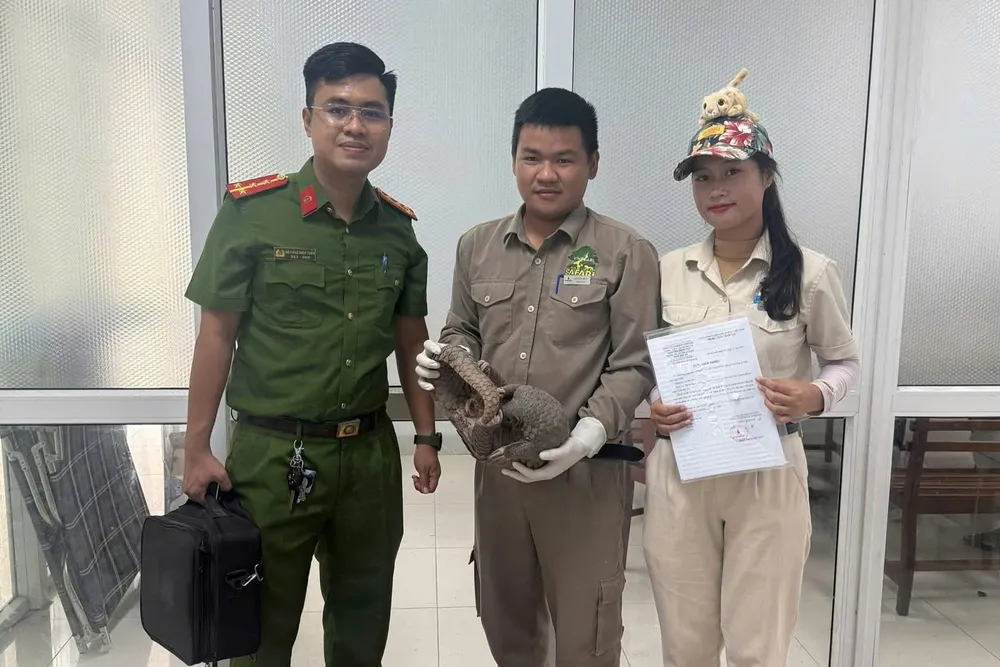 Cá thể Tê Tê được bàn giao cho Cơ sở Bảo tồn đa dạng sinh học Vinpearl River Safari Nam Hội An để cứu hộ và chăm sóc. Ảnh: CACC z6830568157670_62c898b71d6f3f1094e89f54a13c5685.jpg