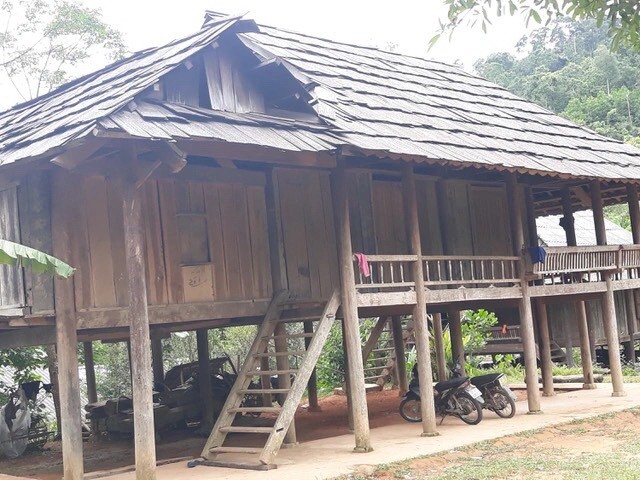 參觀芒旦--泰古村 ảnh 1