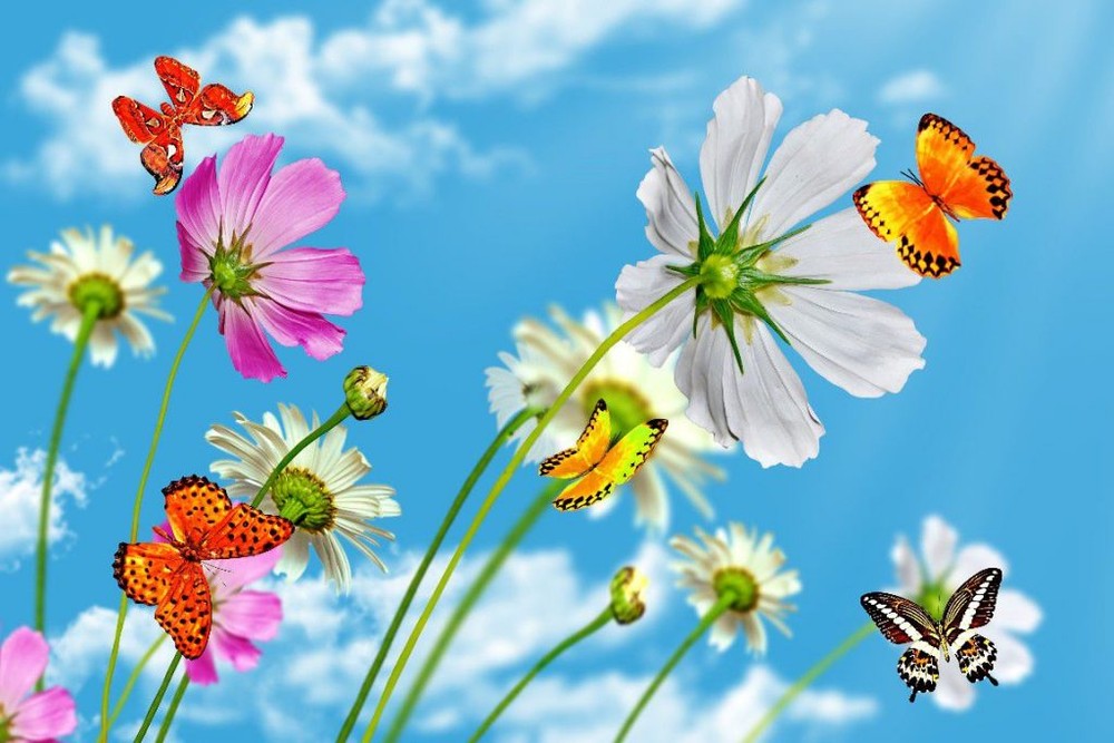 （圖源：互聯網）