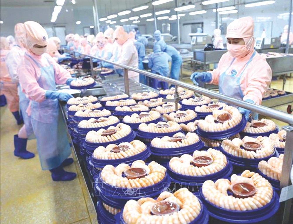 提升蝦類在國際市場競爭力