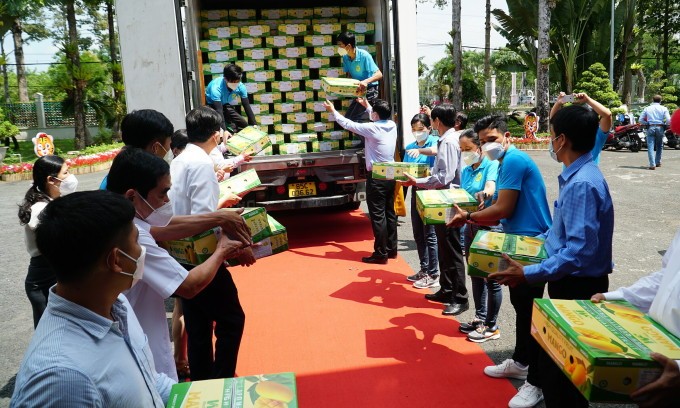 同塔向歐盟市場出口首批芒果