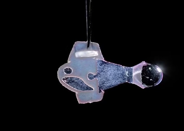 （示意圖源：互聯網）