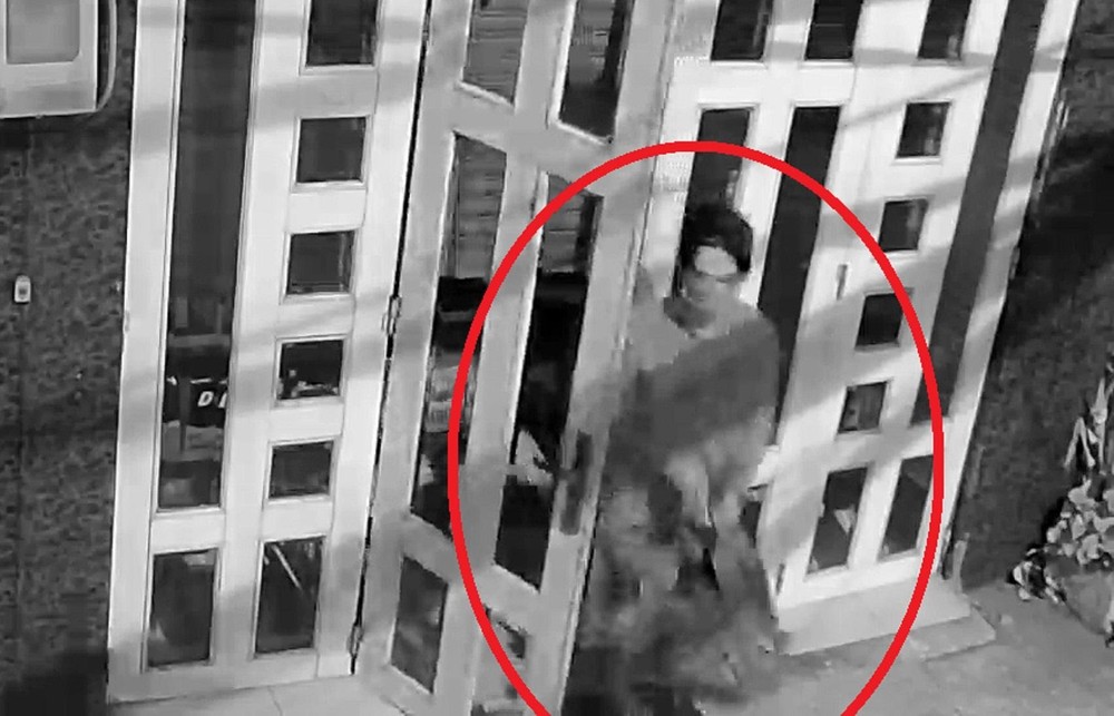 小偷潛入商店竊逾 2 億元財物