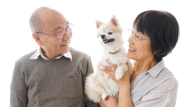 （示意圖源：互聯網）