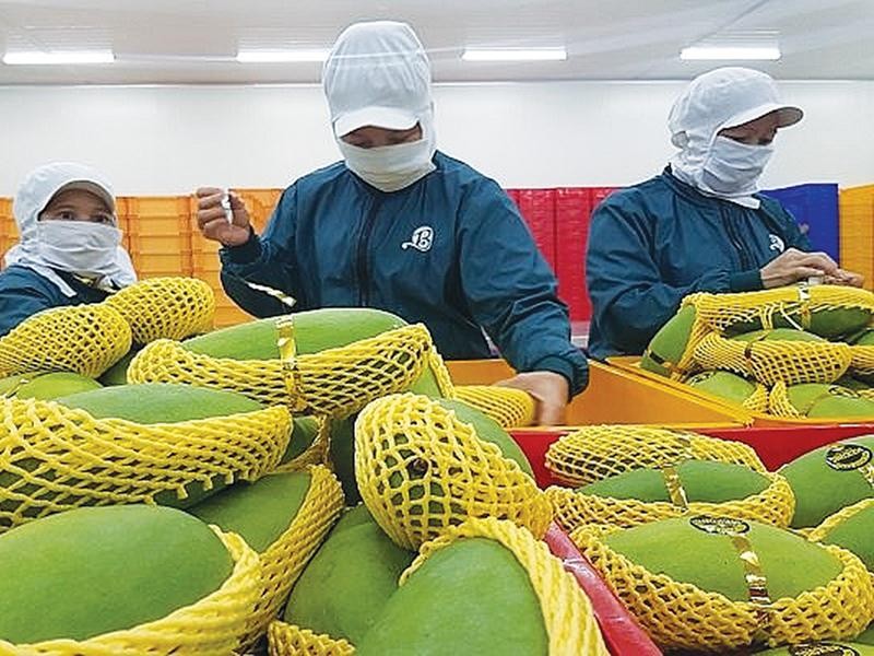 (示意圖源:互聯網)