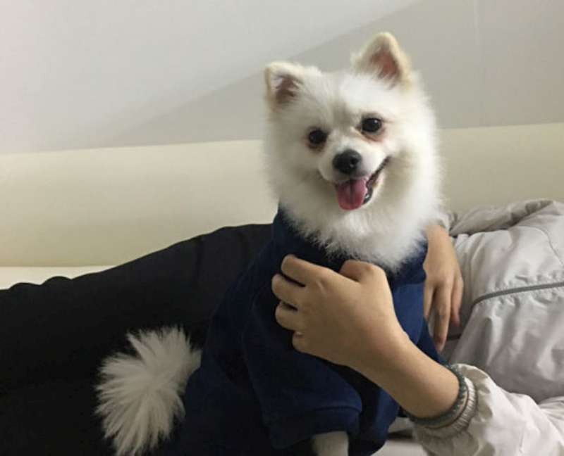 (示意圖源:互聯網)