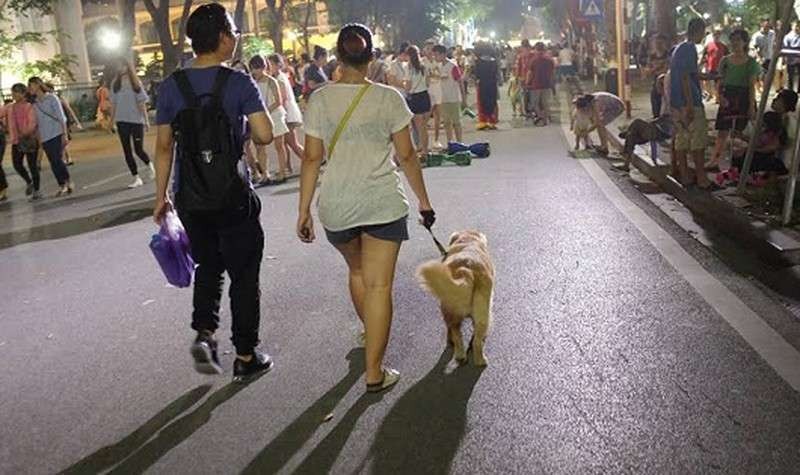 (示意圖源:互聯網)