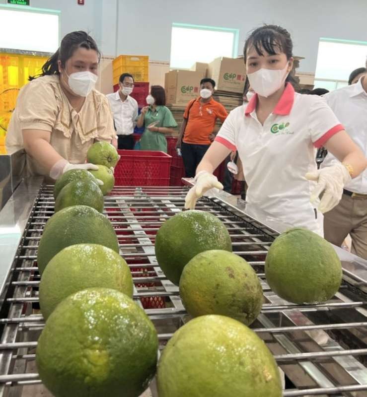 圖源:互聯網