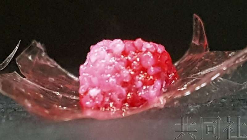 3D 打印機製出雪花牛肉