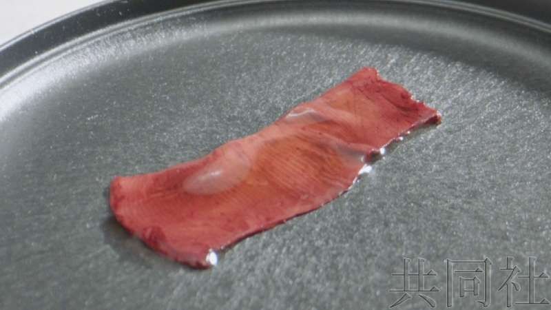 日本開發出“可食用培養肉”