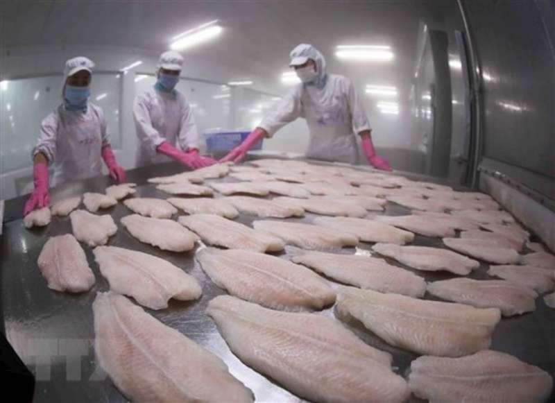 水產出口生產線。