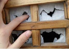 （示意圖源：互聯網）