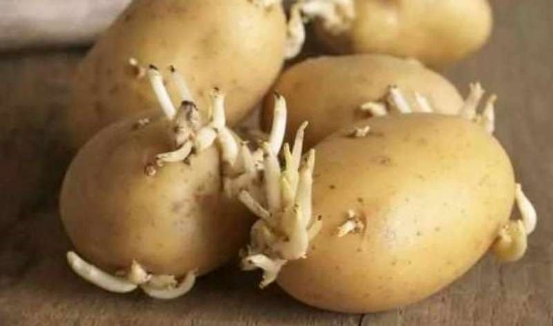 （示意圖源：互聯網）