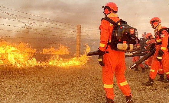 蒙古國東部兩省發生草原大火