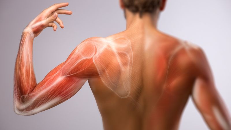 （示意圖源：互聯網）