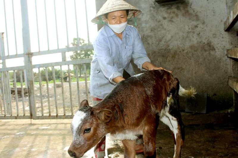 農村婦女幫助農戶脫貧致富