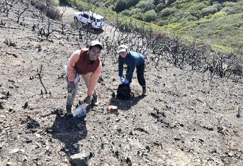 為什麼火燒不死某些細菌和微生物？