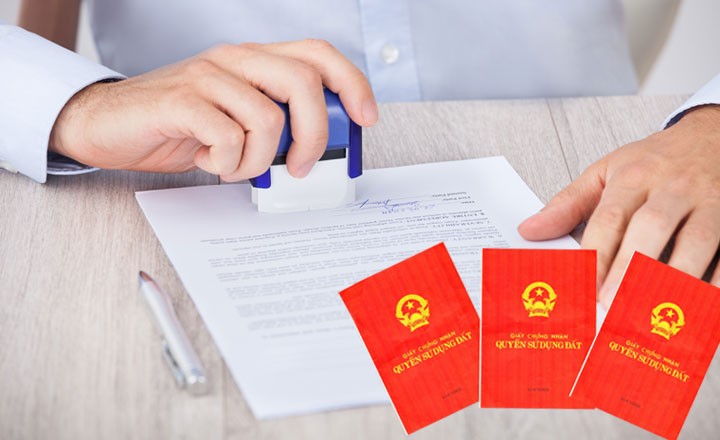 出錯的公證事務所須對買地者的損失承擔連帶賠償責任。