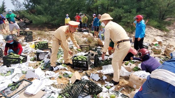 運載芒果車側翻村民幫忙撿拾