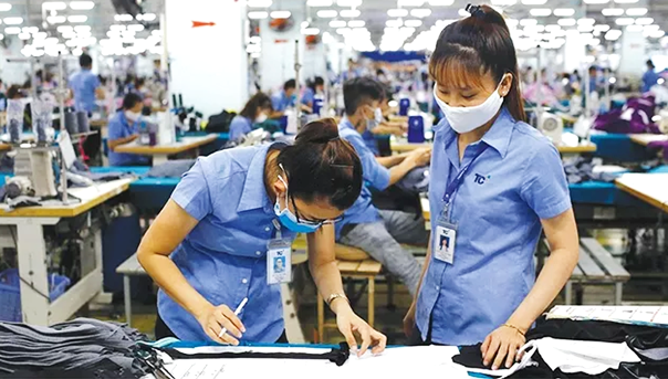 EVFTA為我國進出口活動帶來積極成果。（圖源：互聯網）