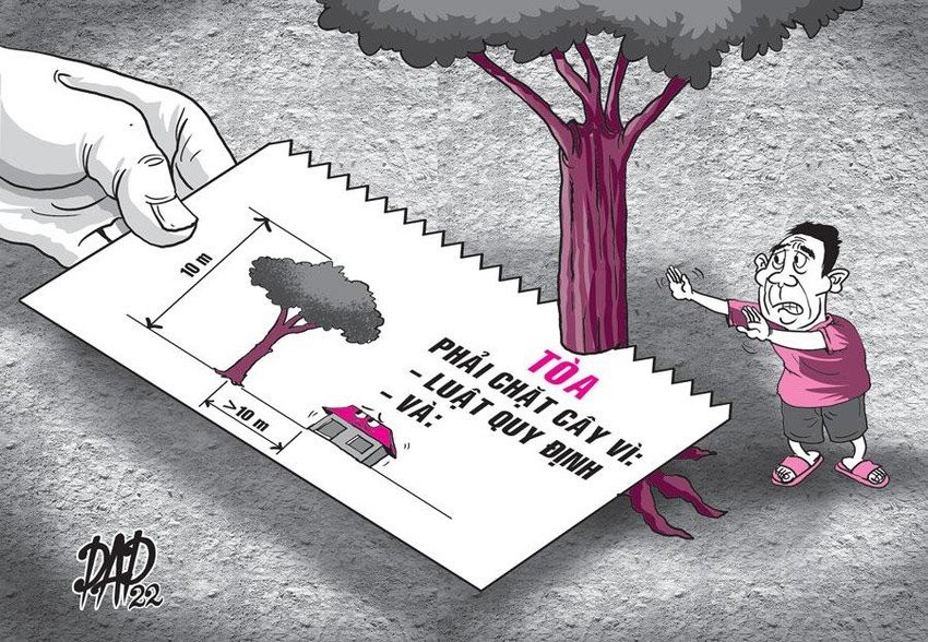 拒絕砍樹被訴諸於法