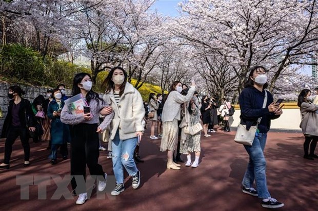 韓國推出吸引我國遊客活動