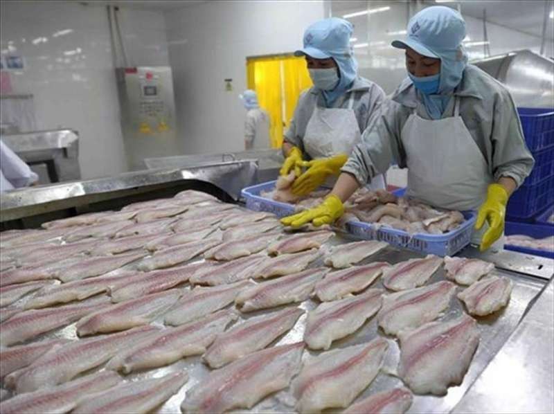 查魚肉經加工後出口。