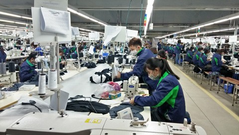 當下勞動力市場正在顯示出許多積極的跡象。