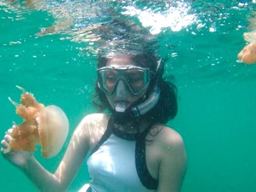 印尼卡卡班島 ảnh 1