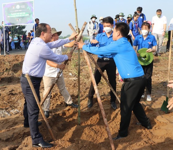 都市植樹運動發起