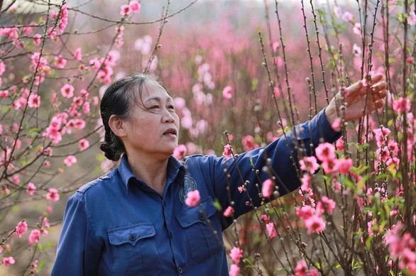 上呈政府春節休假 7 天方案