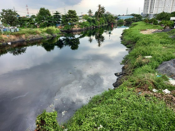 流經第十二郡泰安坊的參良涌的水黑漆漆及散發臭味。