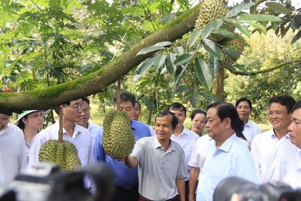 （示意圖源：互聯網）