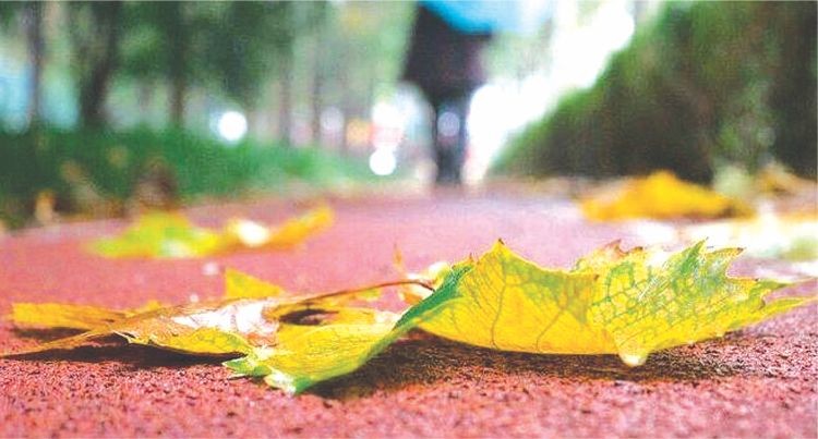 （示意圖源：互聯網）