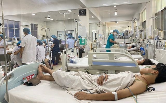 今年本市登革熱病死亡例居高不下。從年初至今登革熱病死亡例總數為25例，同比增20例。（示意圖：互聯網）