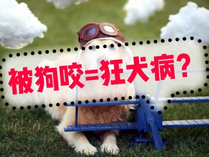 狂犬病只有狗狗能得?