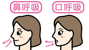呼吸错误容易过敏、脑雾甚至短命!