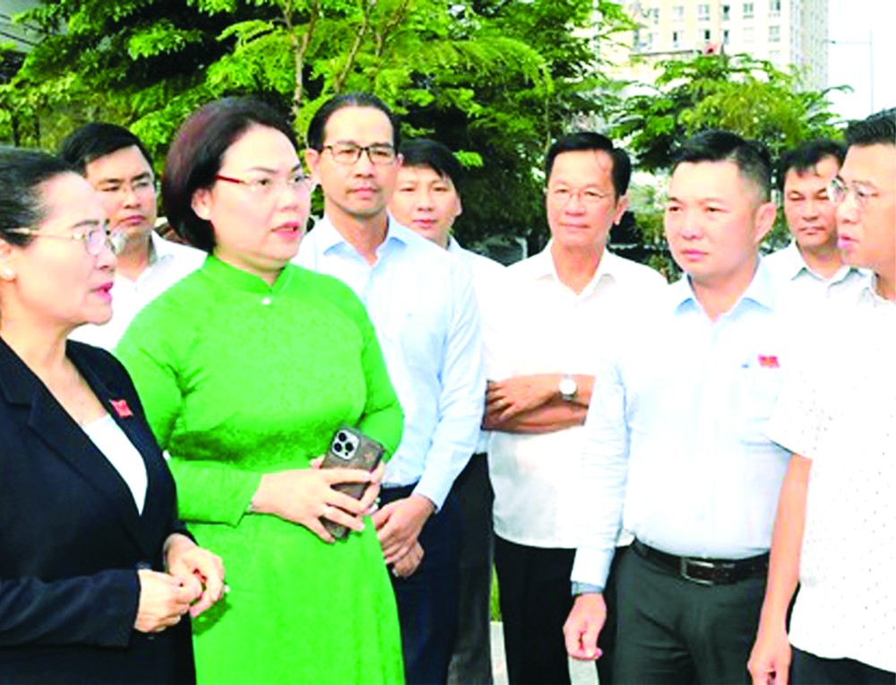 市人民议会监察团监察第六郡杭庞涌场地清拆赔偿情况。