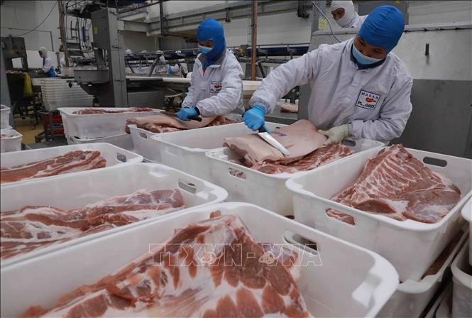 猪肉加工生产线。