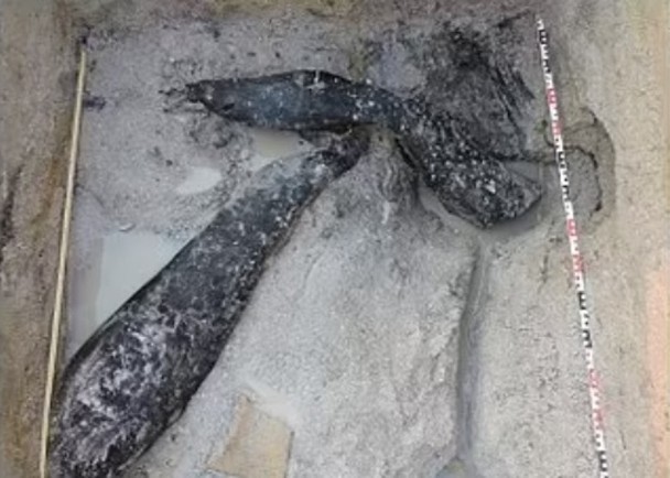 约 47.6 万年前建筑木材出土
