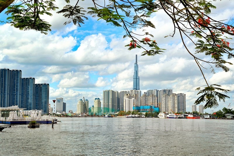为绿色城市行动:全社会参与