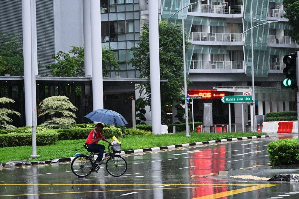 在新加坡，市民撑伞在雨中骑行。新华社发
